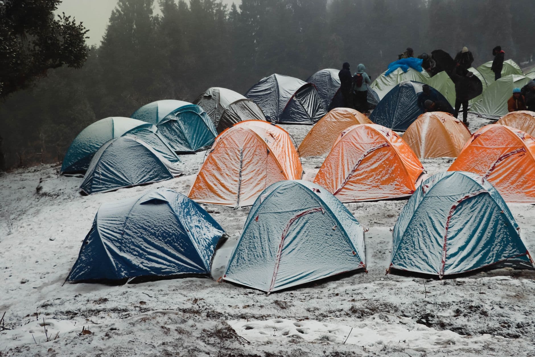 Colorful tents pitched in a snowy forest on a winter camping trip