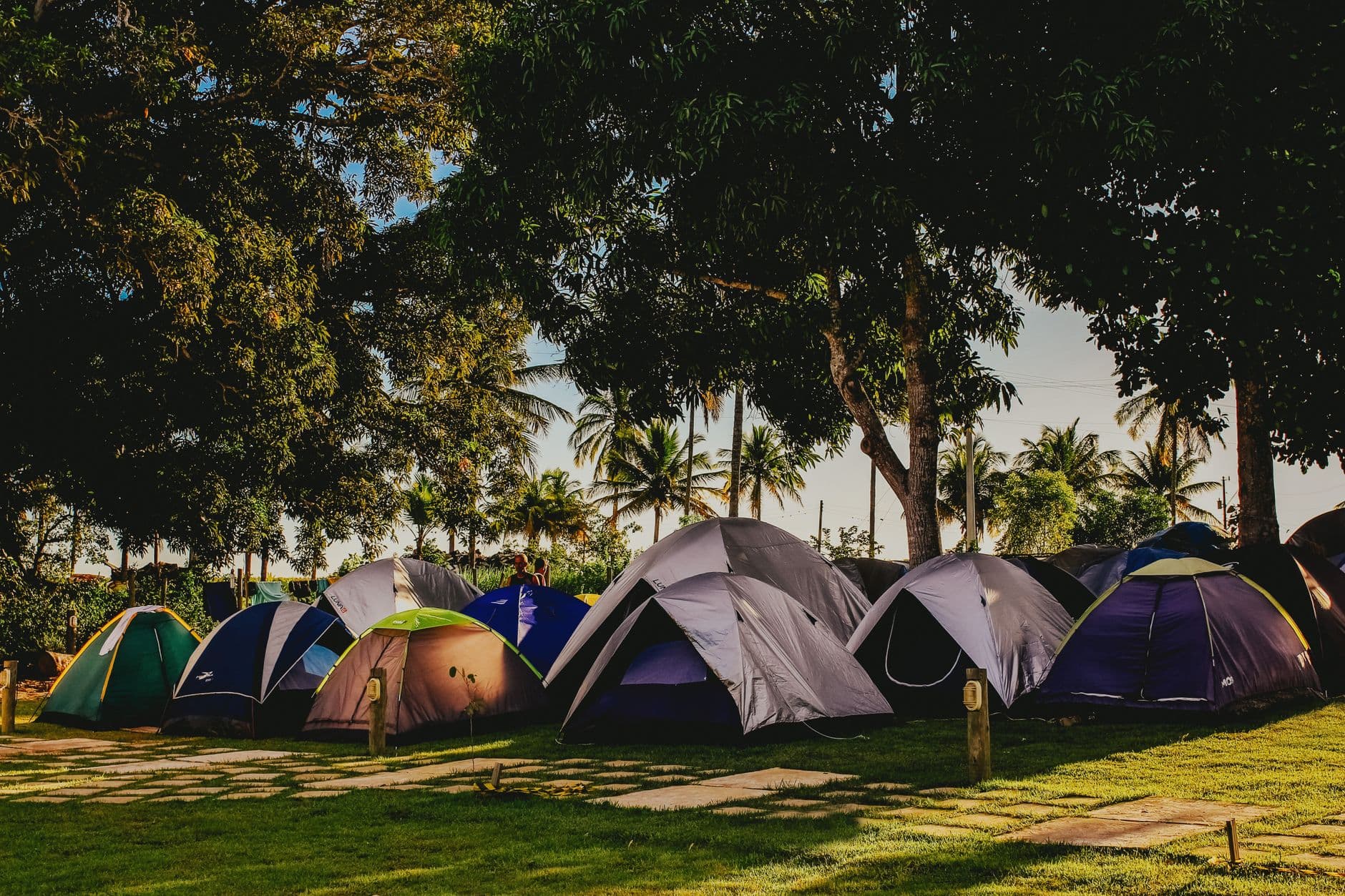 A row of dome tents at a grassy campsite in warm evening light