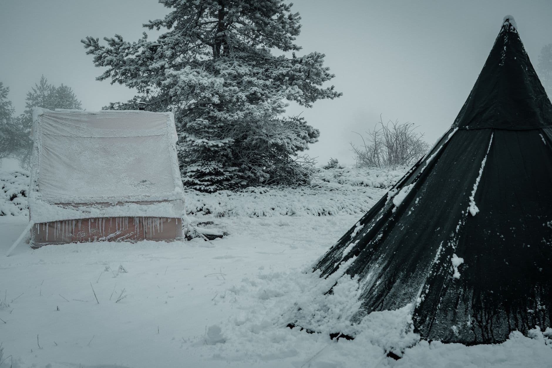 Snow-covered tents in a quiet winter landscape