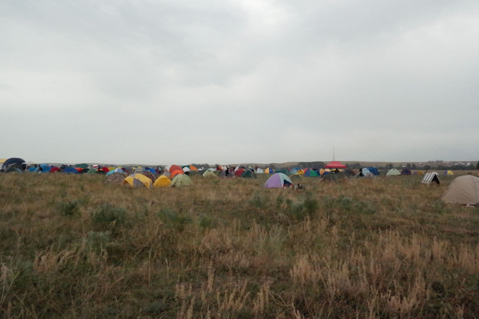 A spacious campsite filled with colorful tents