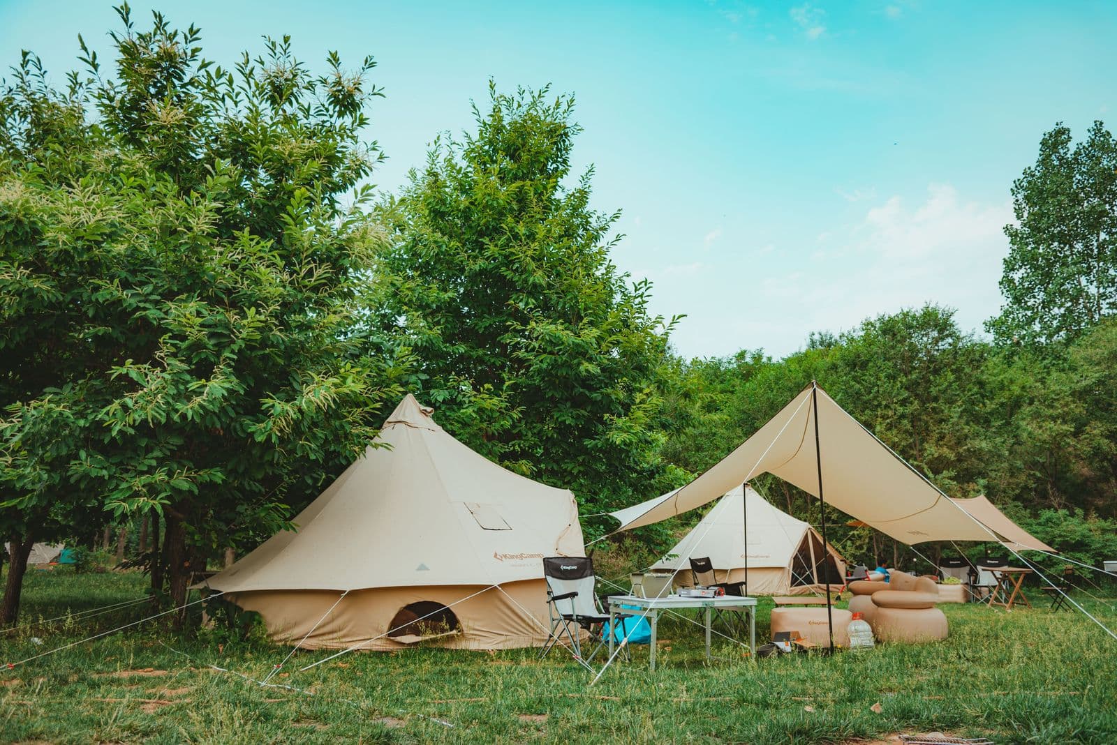 Modern tents pitched in a green, leafy campsite
