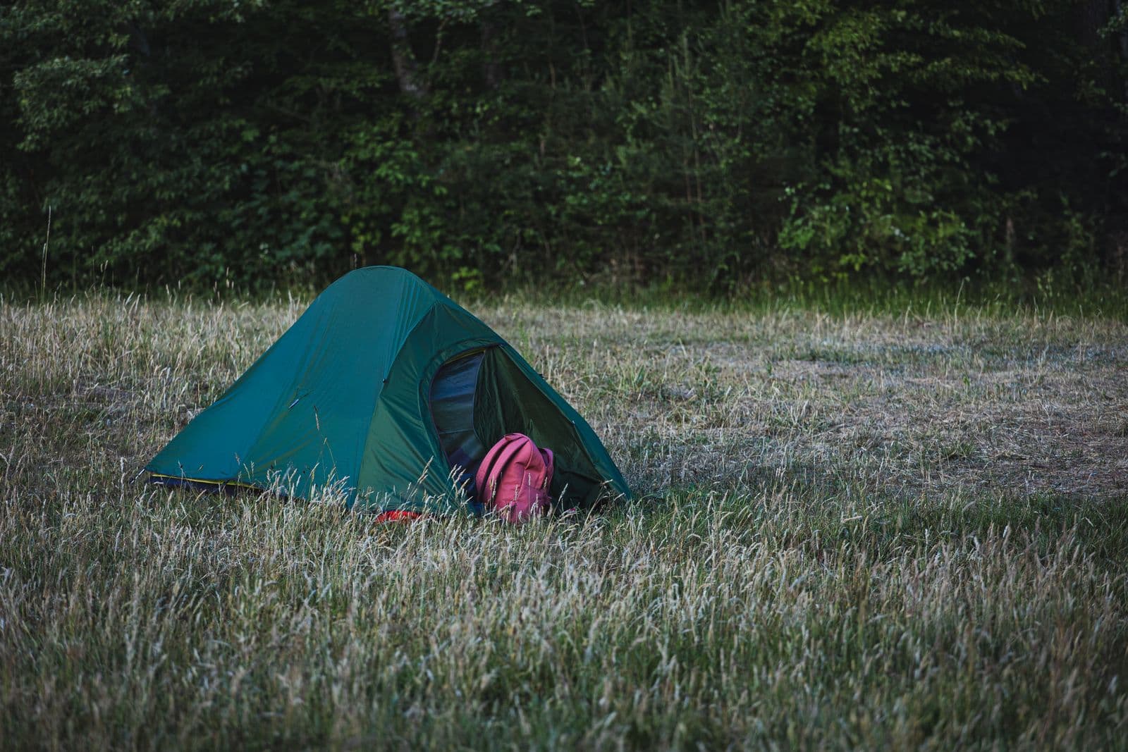 A green tent pitched on grass at the edge of a forest